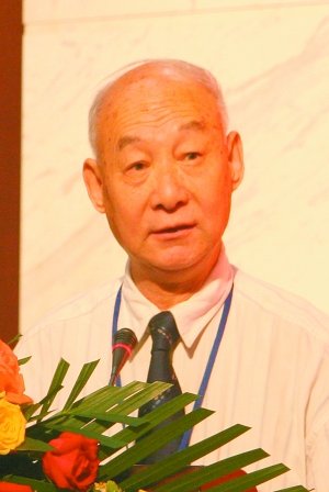 市场容量巨大 新能源汽车将多种形式并存