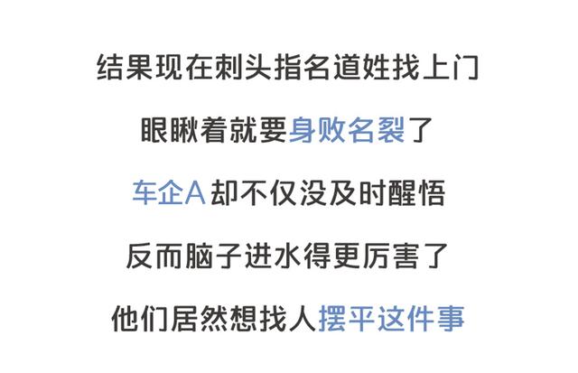 厂家竟想用美人计封口！315前揭露一个维权黑幕