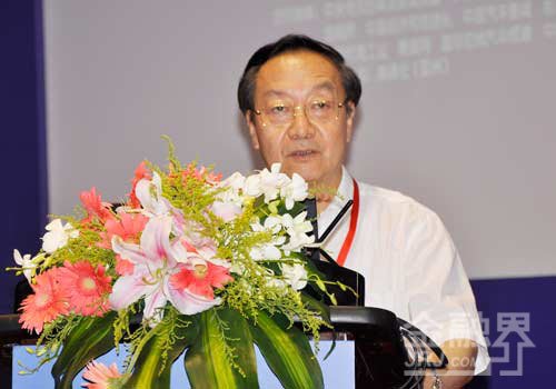 李毅中：汽车工业对国际金融危机功不可没