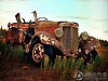 L'anima del deserto del viaggio in auto