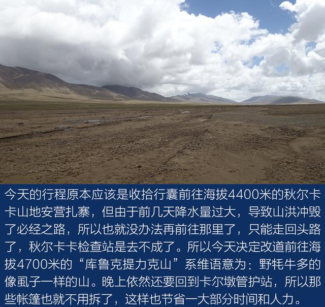 上得雪山和沙漠、下得草原和沼泽与牧游侠一道穿越阿尔金山