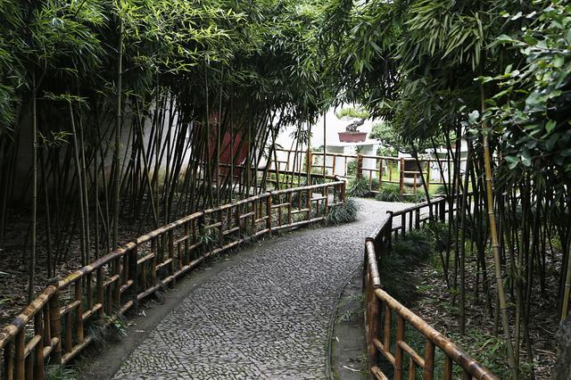 游太湖赏留园 有致青年跨越神州之苏州行