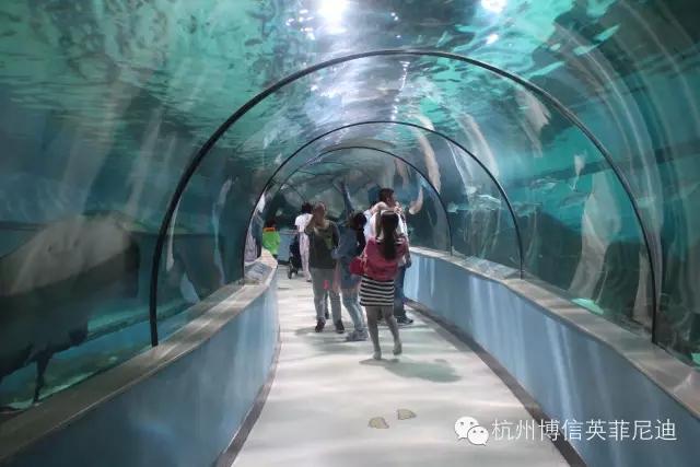 【敢爱之旅】杭州博信苏州亲子潜水活动开启