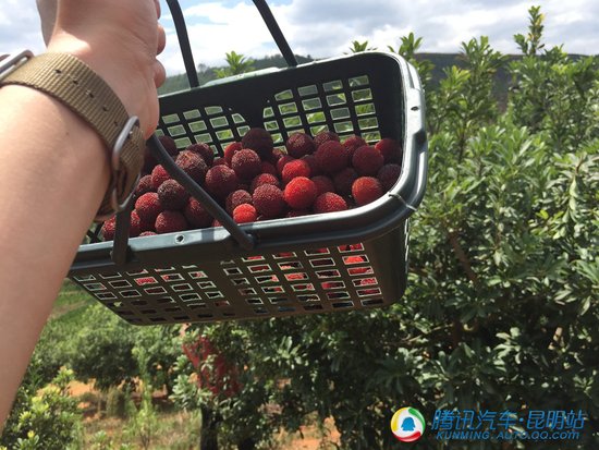 悦行历史名城 探索传统工艺 BMW 3系建水之旅