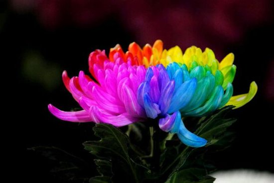 十一长假不想宅 昆明周边短途游推荐