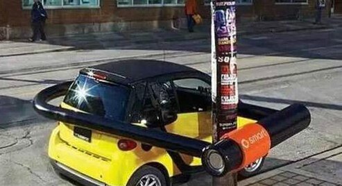 8444792.jpg