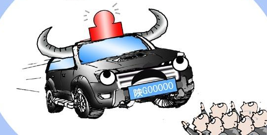 现 最牛违法车 5年违法243次扣461分