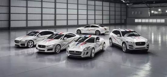 9966830.jpg