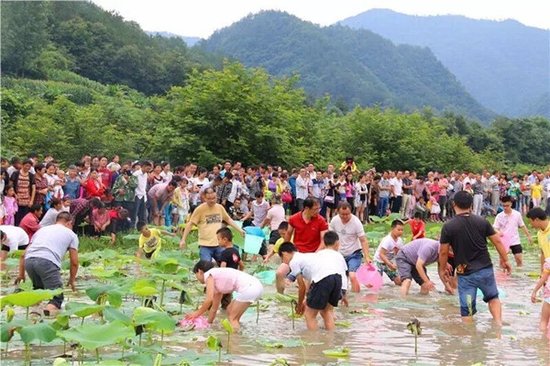 漫步花海山间露营 腾讯汽车带你畅享美丽远安_频道-宜昌_腾讯网