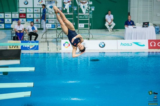 宝马公司再度赞助2018年FINA国际泳联世界跳