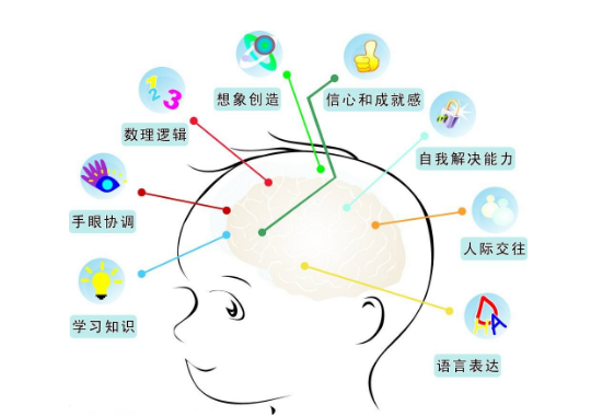 妈妈须知:宝宝大脑的功能介绍_育儿_腾讯网
