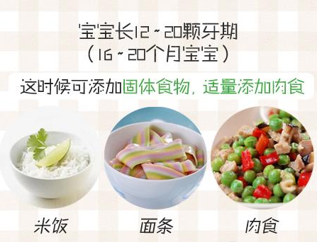 宝宝出牙期可以吃的食物大盘点