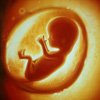 Fetal yaşamın gizemi, gizemli "kutsal çocuk" ağlamak Reveal