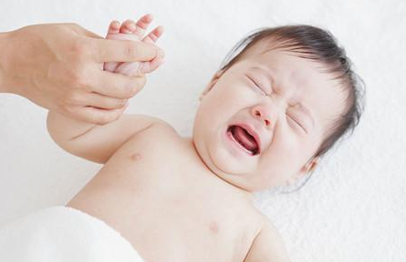 4大技巧6小步骤 轻松给BB理发