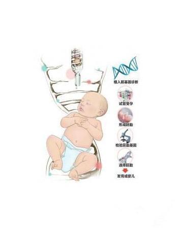 定製嬰兒 人類會重新洗牌嗎?