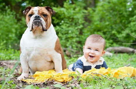 儿童要从小培养的6种黄金性格