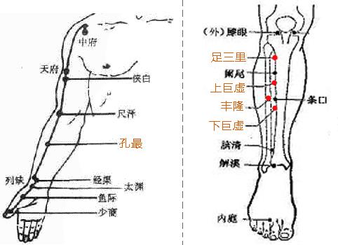 冬季易上火 按摩食疗巧治扁桃体发炎403 / 作者:疾控客服 / 帖子ID:161148