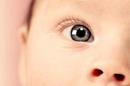 琴童近视多?学琴娃用眼法则