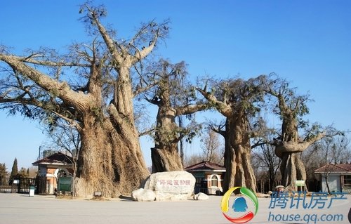 保定植物园被评为河北省十佳公园