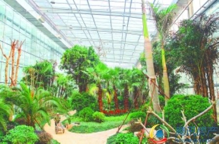 保定生态园再添新彩 植物馆今年五月向市民开放图片