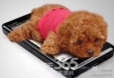 震惊:华远地产怎么突然不是国企了?_频道-保定