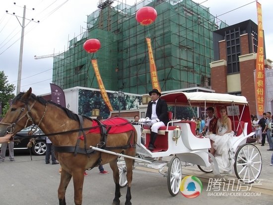 怎么才能开出皇家马车 6044358.jpg