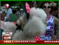 里约热内卢举办小狗狂欢节 为巴西狂欢节热身