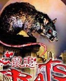 鼠灾