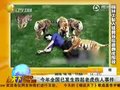 视频：深圳动物园员工遭多只东北虎袭击当场死亡