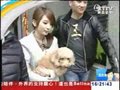 视频：Hebe带Selina爱犬宠物店洗澡 遭媒体追访