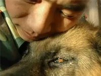 广西29只警犬服用驱虫药后死亡