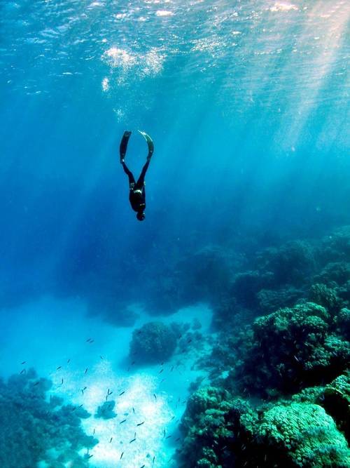 世界八大浮潜圣地 最顶级的海洋体验就在这里