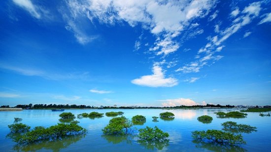 鲜货!北海恒大名都携收官之作黄金周开盘!_频