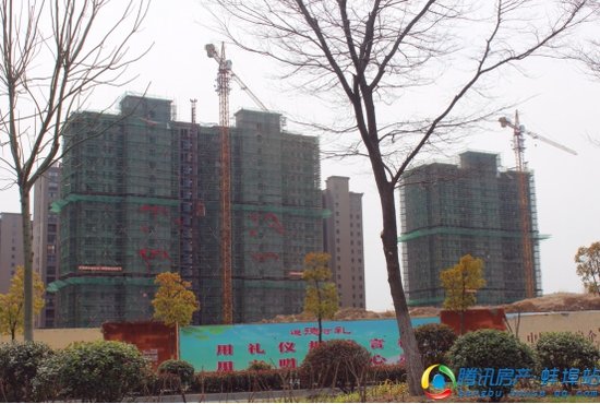 【佳源东方都市】3月进度 在建楼栋即将拆除绿网