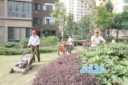 老旧小区物业管理水平亟待提高 _频道-蚌埠