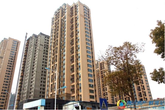 海亮天御1月份进度 项目整体稳步建设中_频道