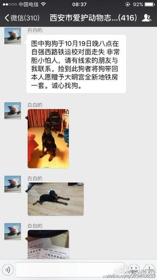 寻物启示恶搞视频,寻物启示恶搞视频大全