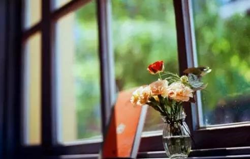 『窗外看世界 窗内看人生』一扇窗户,缘何价值