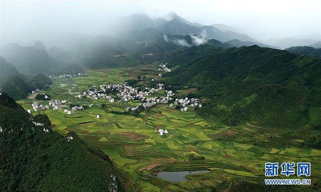 油画般的广西田园秋色“泛亚电竞”(图3)