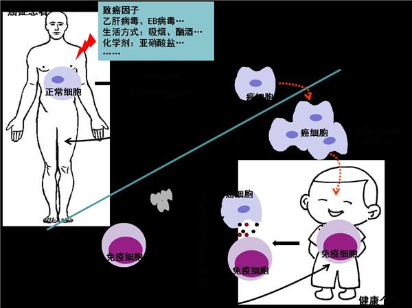 人口钟摆式移动现象_...,部分吃喝腐败现象悄悄转向豪华会所、民宅、机关食堂(2)