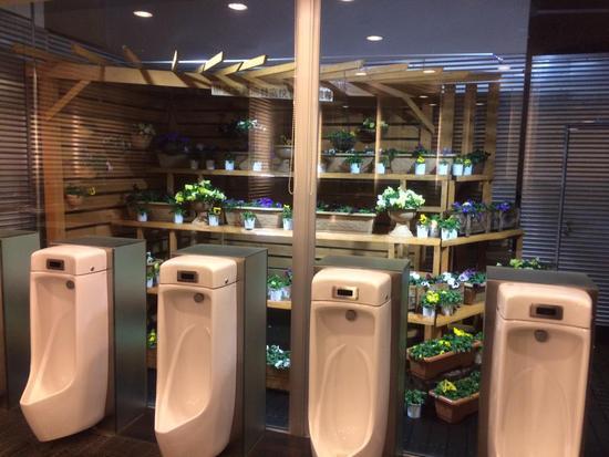 惊呆了!日本一高速服务区惊现超豪华厕所!