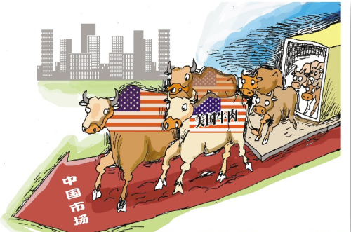 仅10%高端美国牛肉能进中国市场