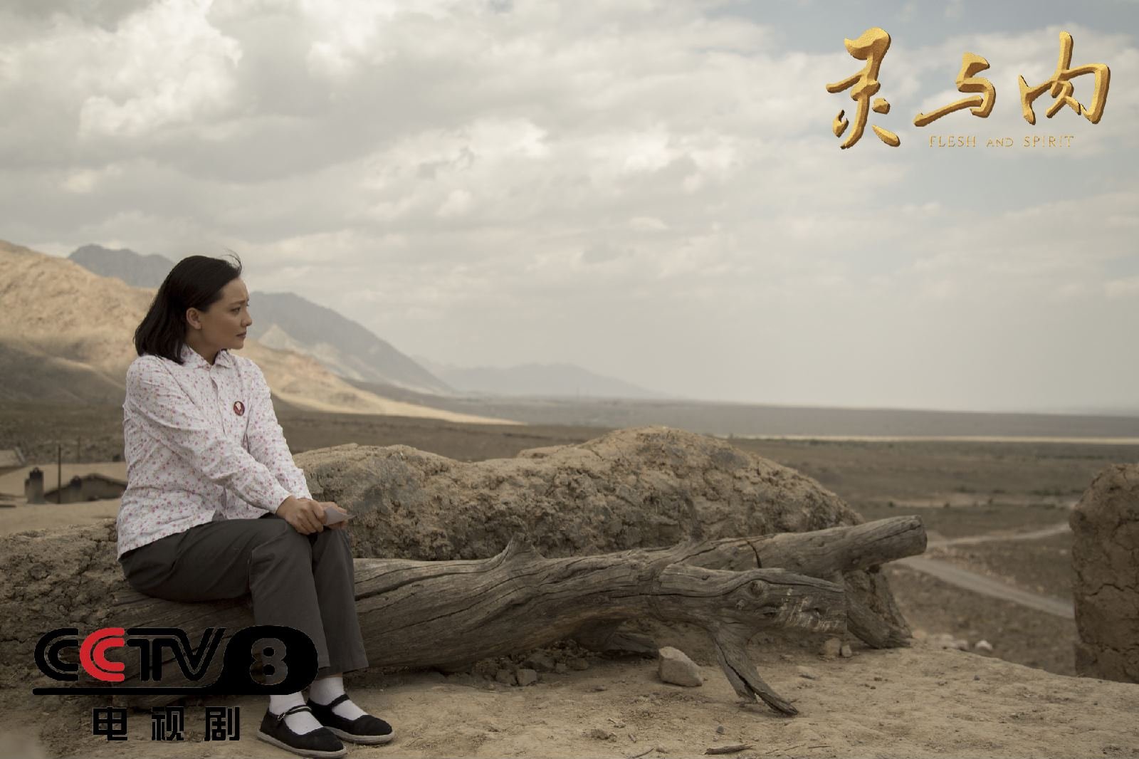 《灵与肉》央视首播 孙茜重塑经典一角