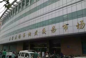 终于找全了!石家庄史上最全的年货批发市场攻略,便宜的一塌糊涂!