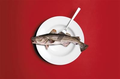 真假难辨 鳕鱼市场乱象全景揭秘