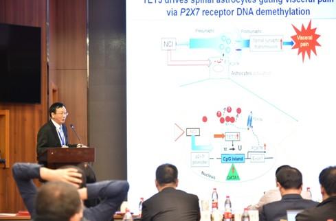 中央民族大学《2018脑疾病基础和转化医学国际研讨会》圆满闭幕!