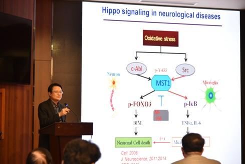 中央民族大学《2018脑疾病基础和转化医学国际研讨会》圆满闭幕!