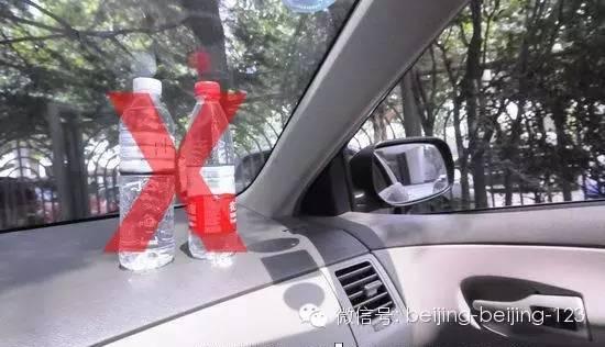 车里能不能放绿植 126621210.jpg
