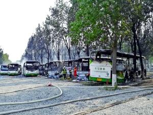 蟹岛大火一排大巴烧成空壳 火灾或与柳絮堆积有关