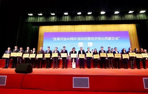 2019民营经济500强_...列2018中国民营企业500强第124位(2)